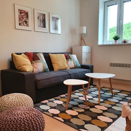 Apartmany Brachovna Mikulov v Krusnych Horach エクステリア 写真