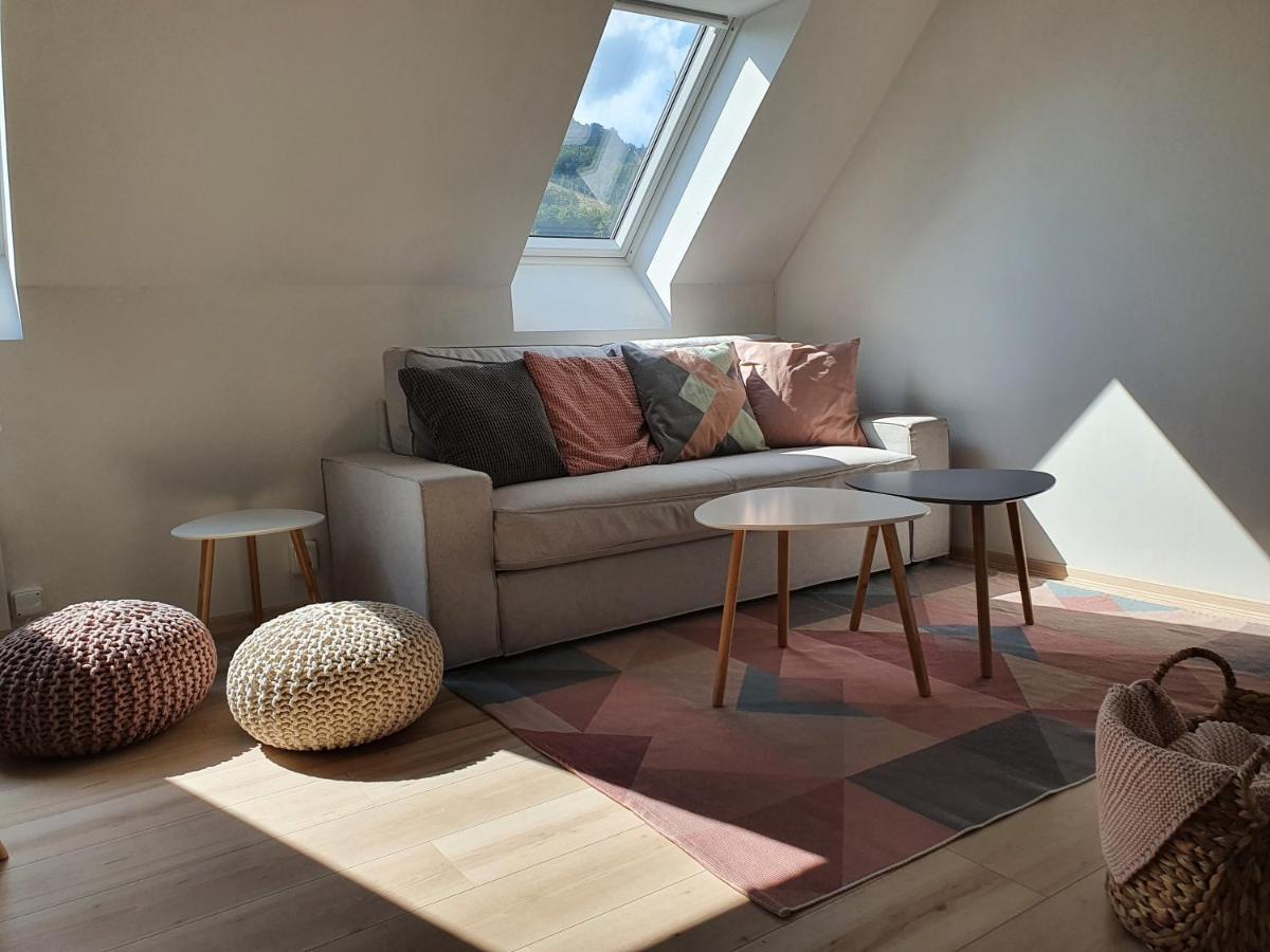 Apartmany Brachovna Mikulov v Krusnych Horach エクステリア 写真