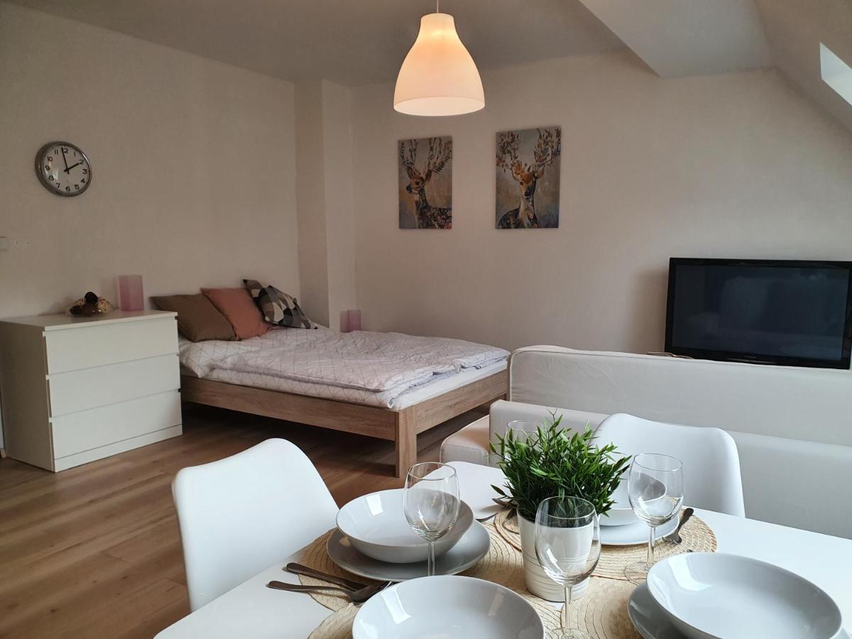 Apartmany Brachovna Mikulov v Krusnych Horach エクステリア 写真