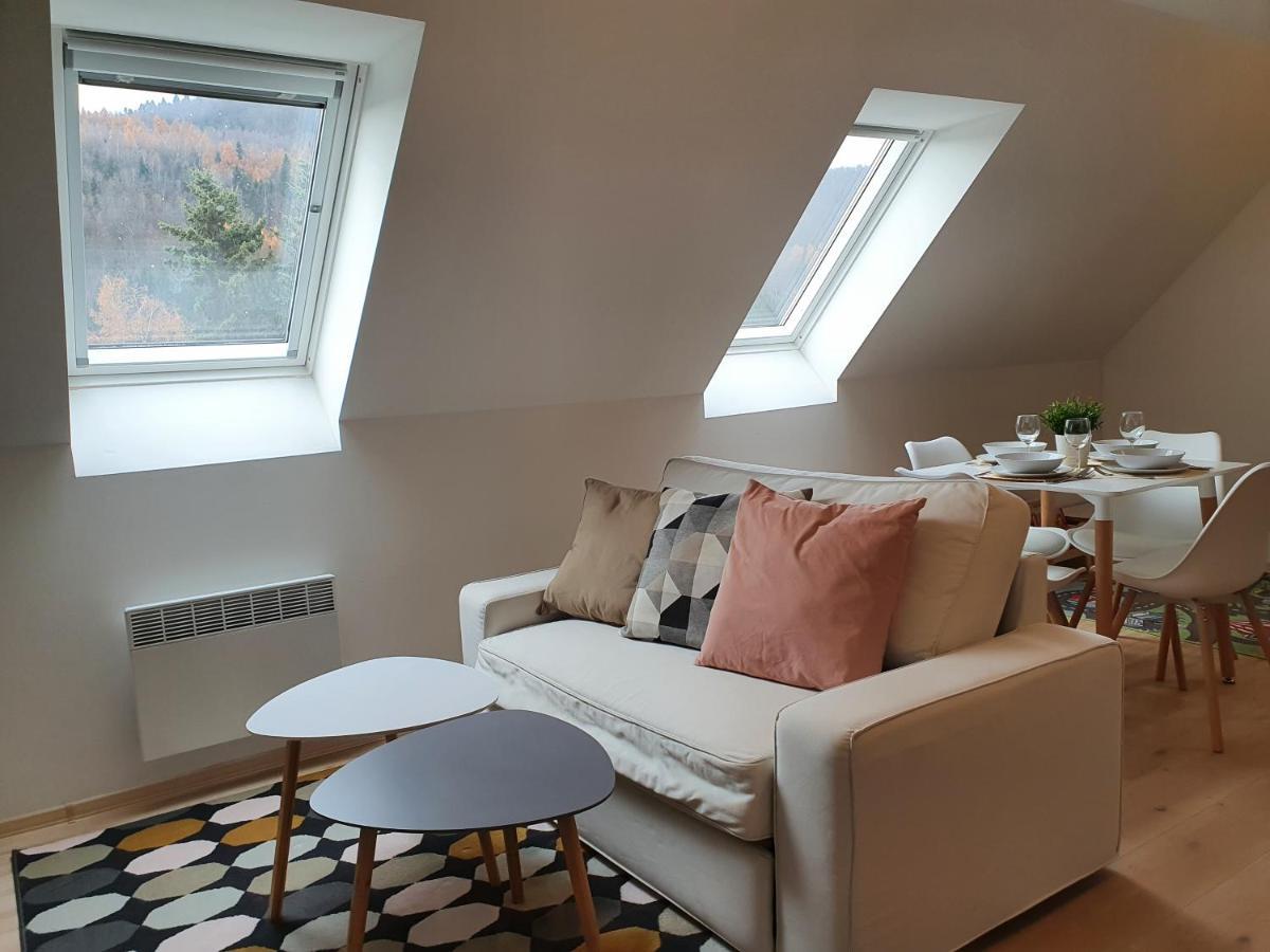 Apartmany Brachovna Mikulov v Krusnych Horach エクステリア 写真