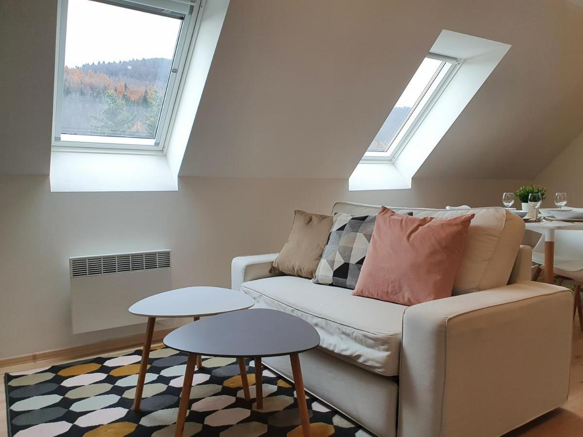 Apartmany Brachovna Mikulov v Krusnych Horach エクステリア 写真