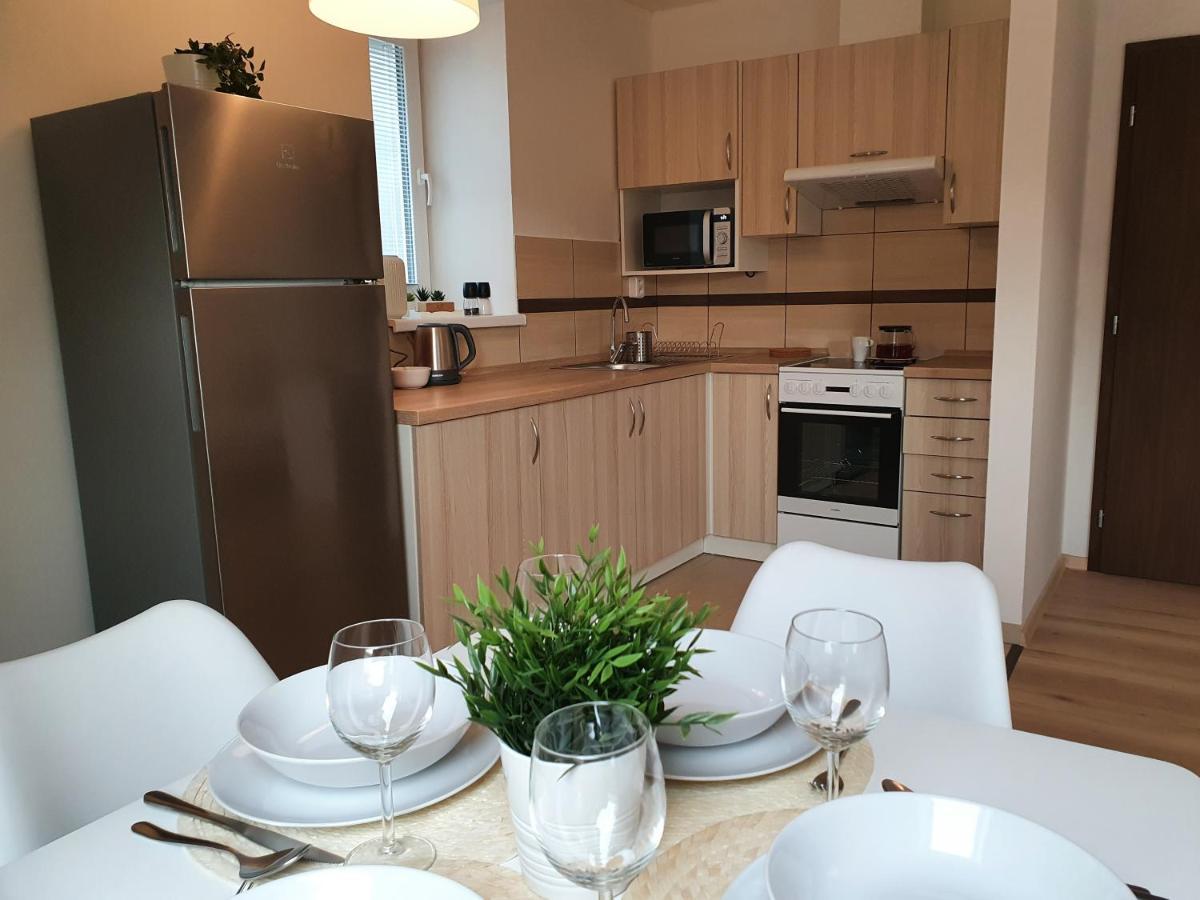 Apartmany Brachovna Mikulov v Krusnych Horach エクステリア 写真