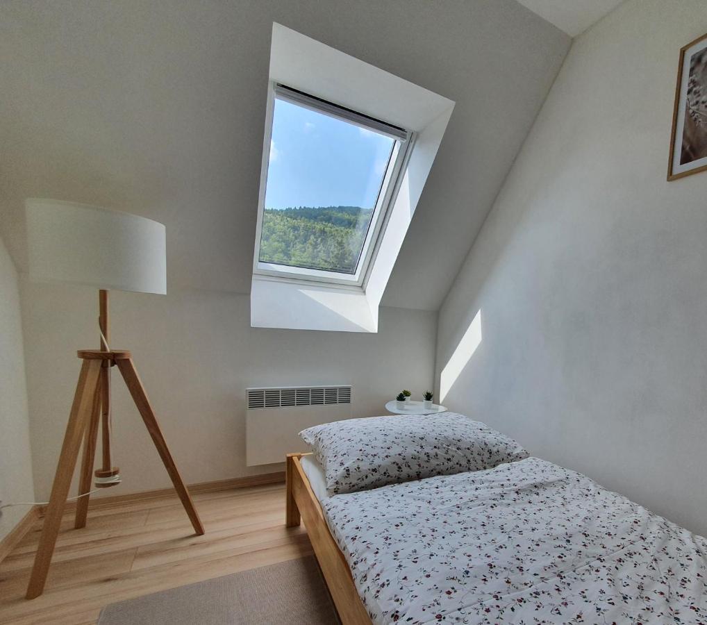 Apartmany Brachovna Mikulov v Krusnych Horach エクステリア 写真