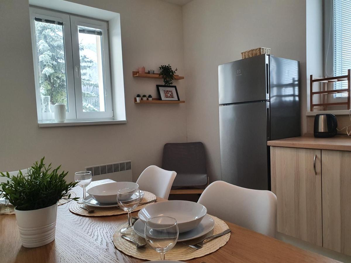 Apartmany Brachovna Mikulov v Krusnych Horach エクステリア 写真