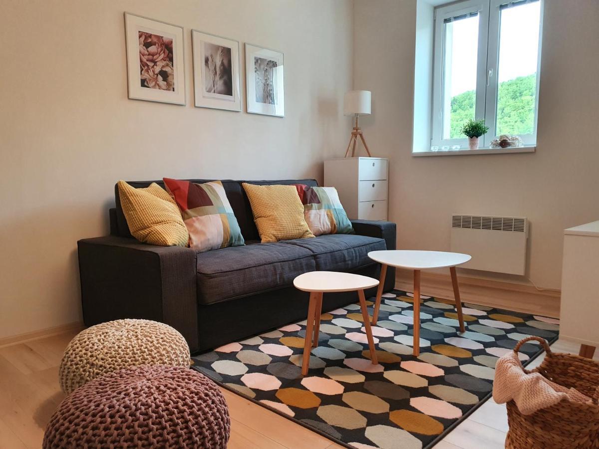 Apartmany Brachovna Mikulov v Krusnych Horach エクステリア 写真