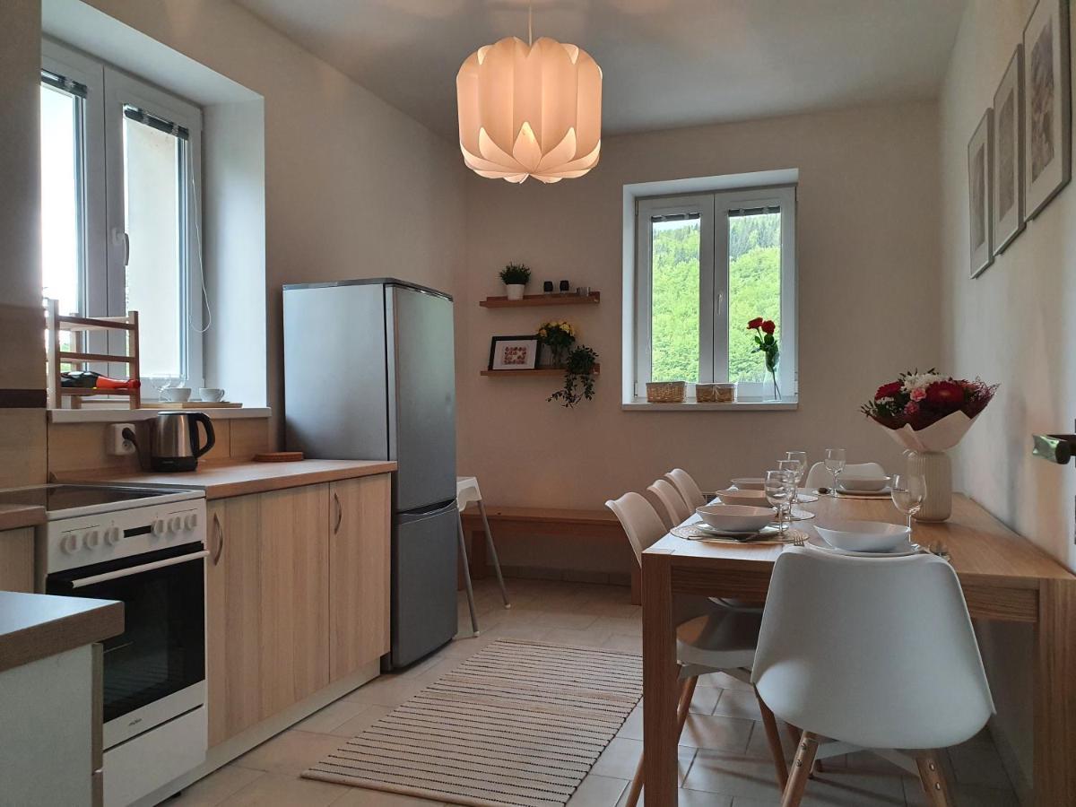Apartmany Brachovna Mikulov v Krusnych Horach エクステリア 写真